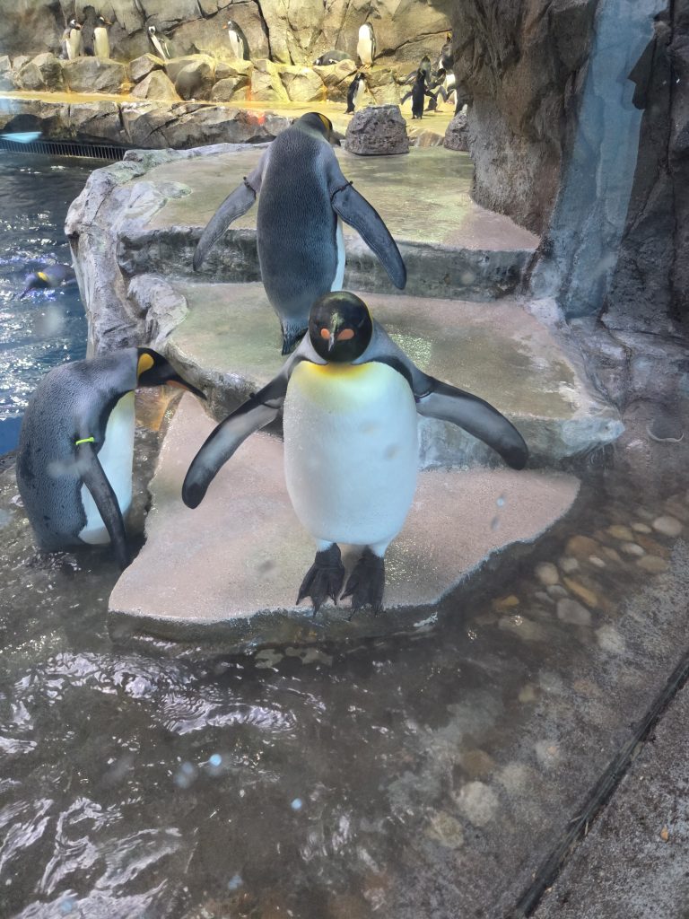 Detroit Zoo 2025